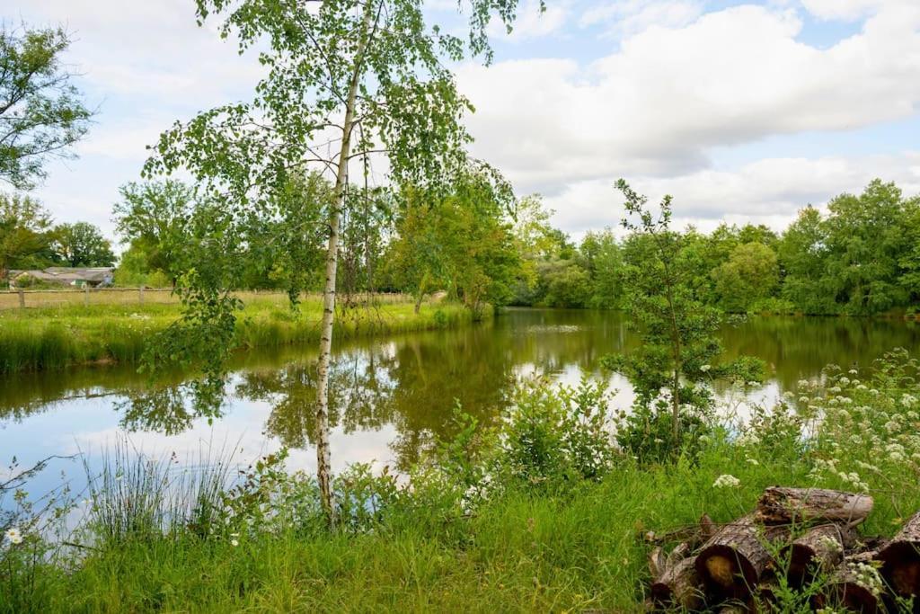 L'Evasion En Pierre Piscine Et Etang Prive Villa Sevremoine Eksteriør billede