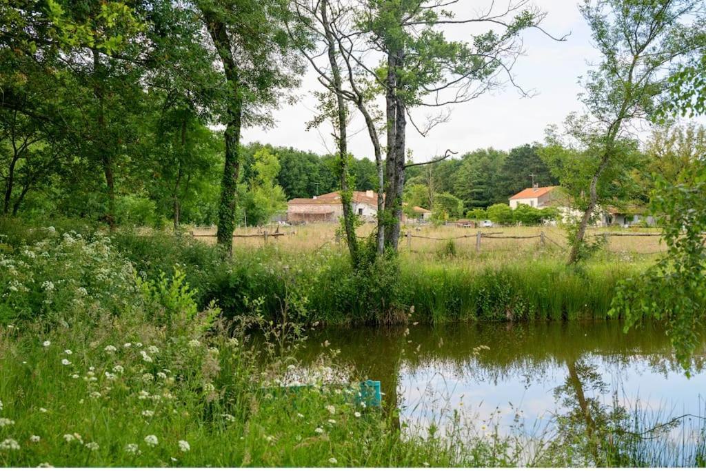L'Evasion En Pierre Piscine Et Etang Prive Villa Sevremoine Eksteriør billede